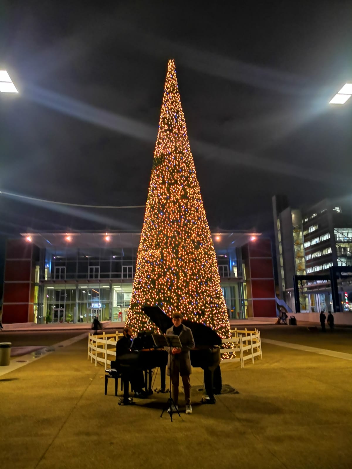 Iniziative: Accendi una candela e Dona un albero alla città - Settimanale  LAncora, accendi candele