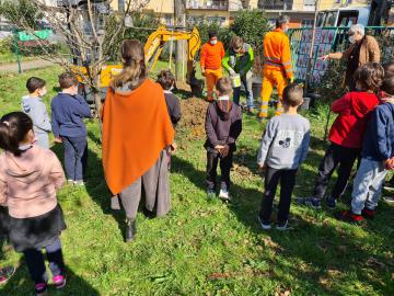 Alunni e insegnanti assistono alla piantumazione di un albero