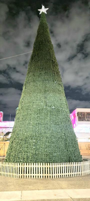 L'albero di Natale di piazza Resistenza prima dell'accensione