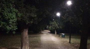 Lampioni in un parco pubblico