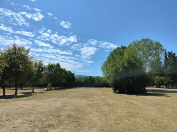 Alberi nel Parco del Castello dell'Acciaiolo