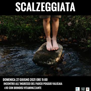 La locandina della Scalzeggiata